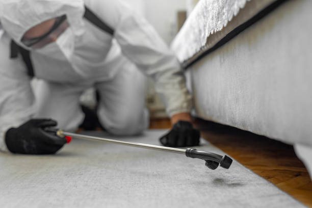 Professional Bed Bug Control technician working in Stockbridge, MI