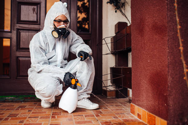 Reliable Bed Bug Control contractor in Stockbridge, MI by Nex Pest Control